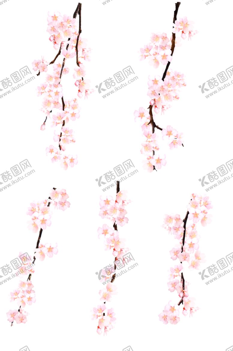 编号：75543309192133127409【酷图网】源文件下载-传统古风水墨花