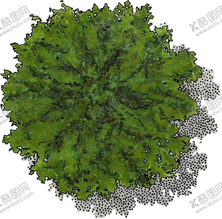 编号：36412504190733451412【酷图网】源文件下载-手绘植物