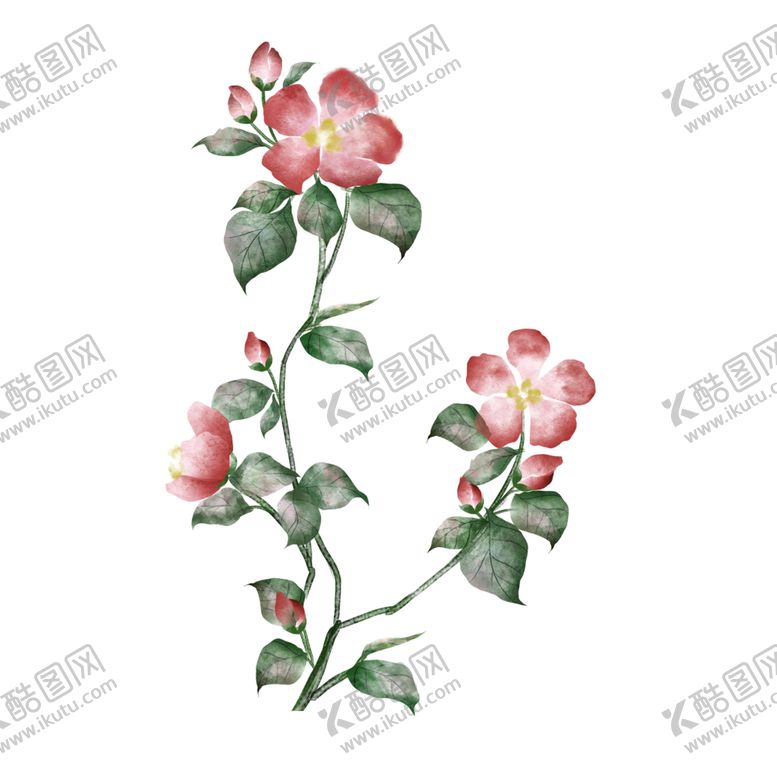 编号：21085407071124297019【酷图网】源文件下载-手绘花草牡丹花园元素素材