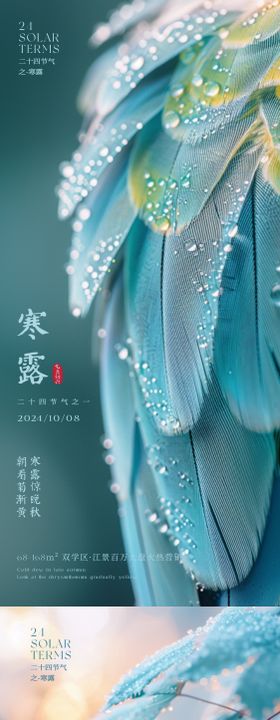 唯美寒露海报