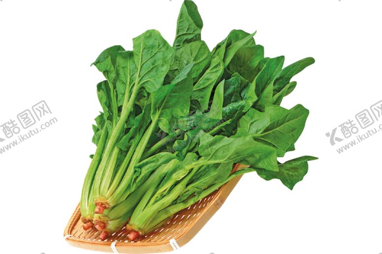 编号：74052009241017585135【酷图网】源文件下载-菠菜