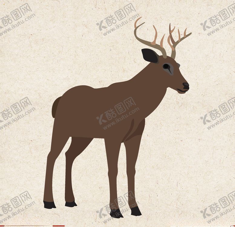 编号：42348909211123368140【酷图网】源文件下载-矢量动物矢量植物插画手绘