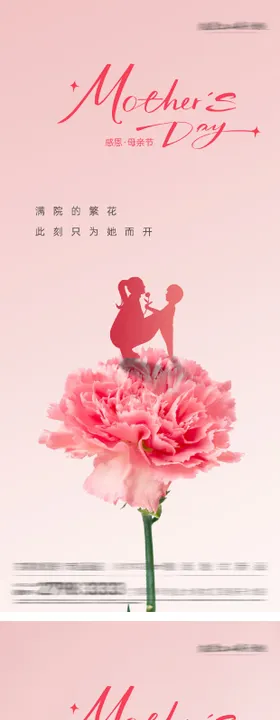 母亲节康乃馨海报