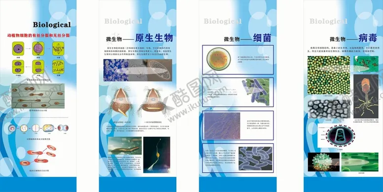 编号：95021310170403366000【酷图网】源文件下载-初中生物知识展板