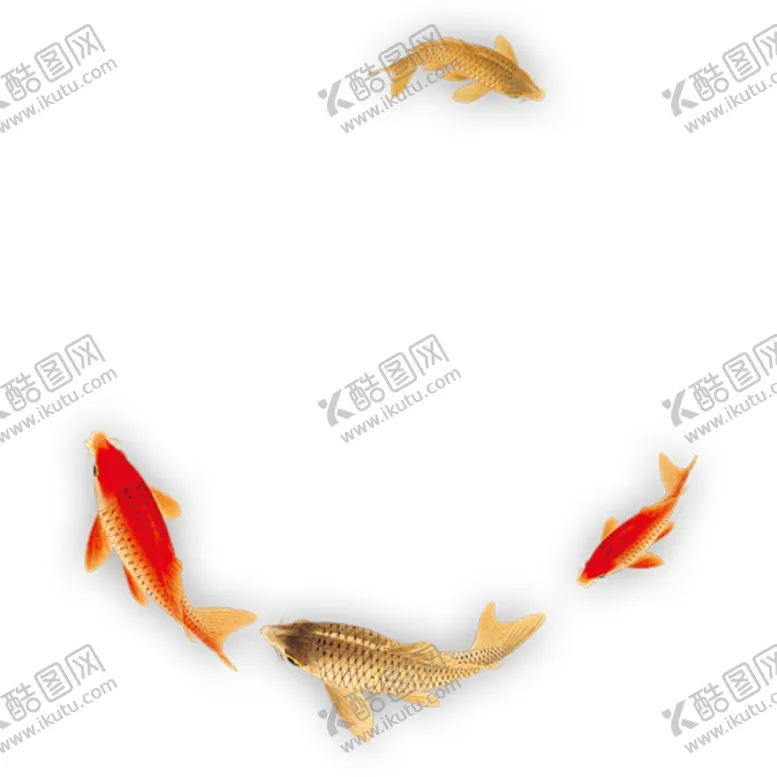 编号：82637803310308484052【酷图网】源文件下载-锦鲤