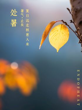 处暑图片飞机稿转发图