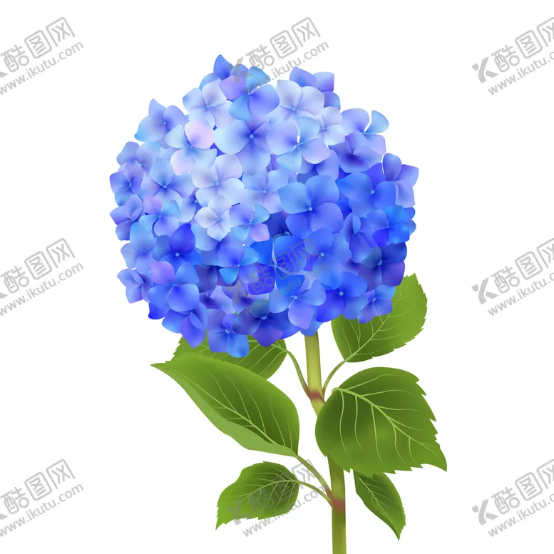 编号：49627309232304396981【酷图网】源文件下载-卡通绣球花