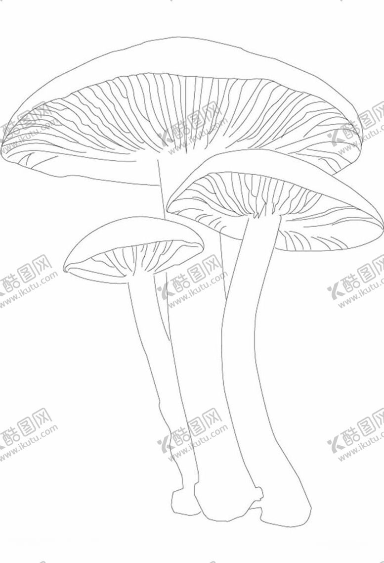 编号：22602202271512004991【酷图网】源文件下载-茶树菇蘑菇素描线稿速写植物插画
