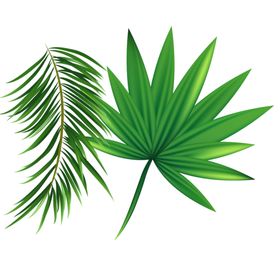 绿色背景小清新夏天边框底纹