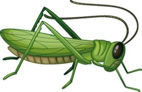 蝗虫