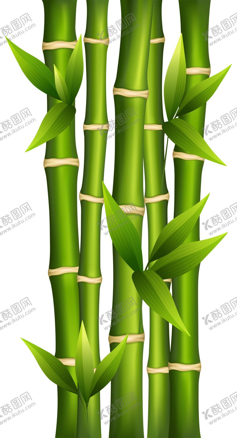 编号：48178309161556321629【酷图网】源文件下载-透明png竹子图片
