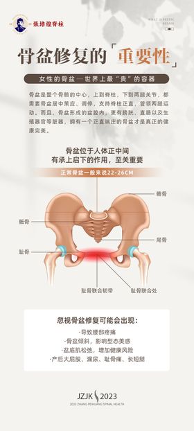 脊柱骨盆简约海报