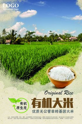 有机大米