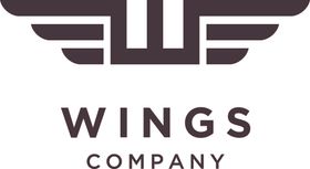 翅膀logo