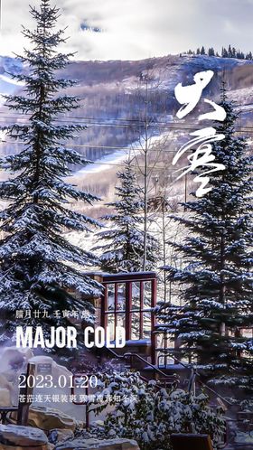大寒海报二十四节气小节气