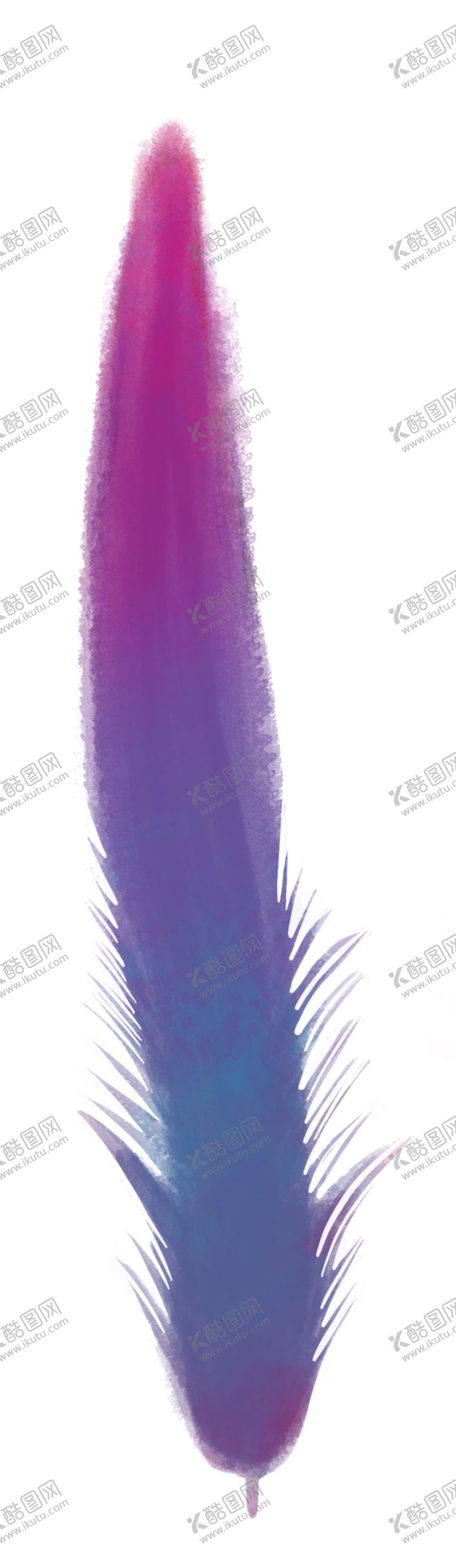 编号：50760402170731576706【酷图网】源文件下载-羽毛 素材