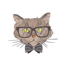 猫卡通