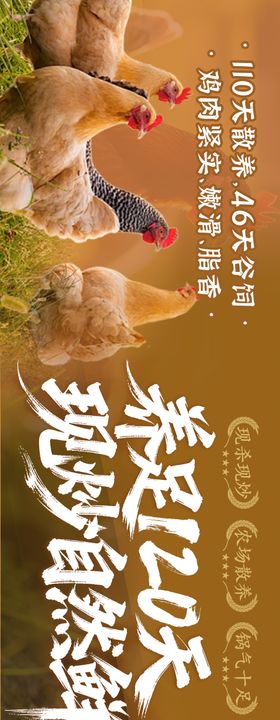 炒鸡餐饮美食大众点评五连图复古风怀旧