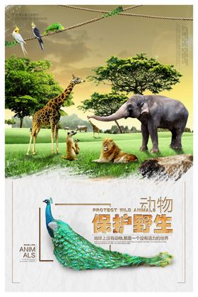 保护野生动物