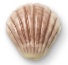 贝壳巧克力