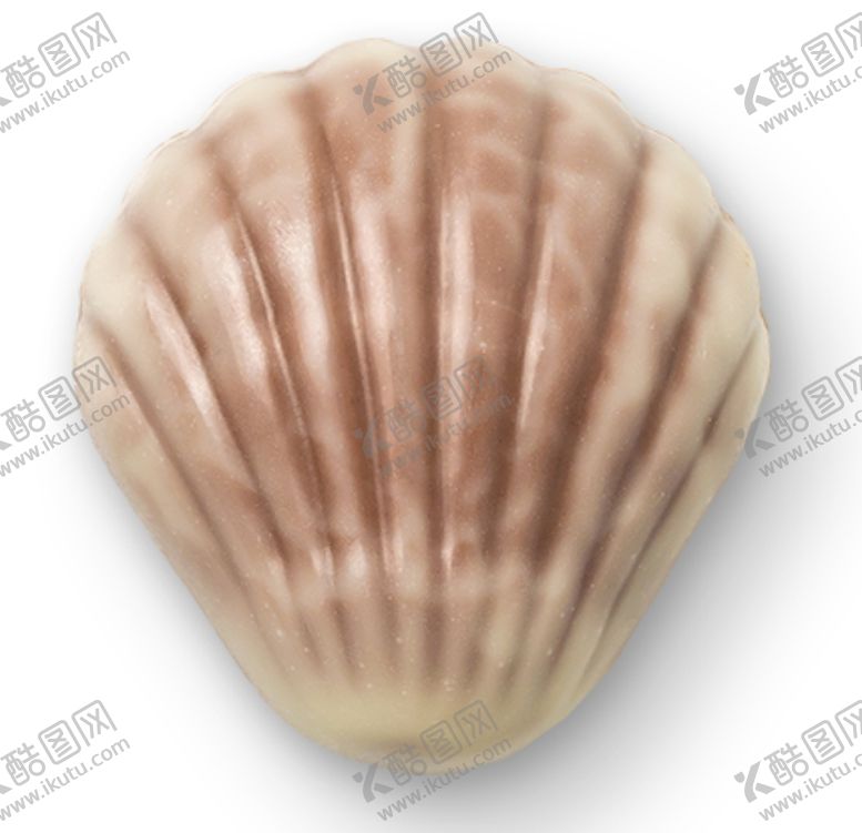 编号：67168305160110036991【酷图网】源文件下载-贝壳巧克力