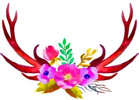 鲜花装饰唯美矢车菊勿忘我朵底纹