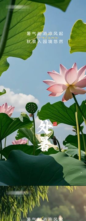 处暑移动海报