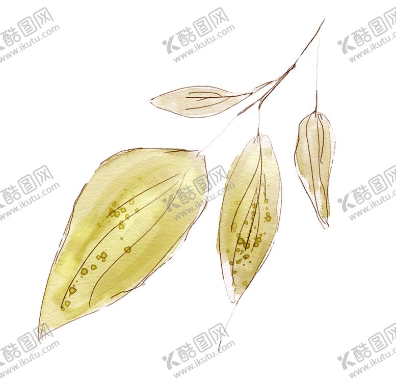 编号：96409909280512408569【酷图网】源文件下载-花卉素材