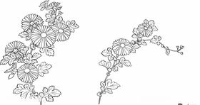 日本线描植物花卉矢量素材