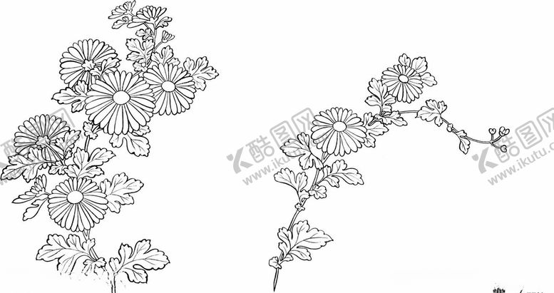 编号：73264007141259511911【酷图网】源文件下载-日本线描植物花卉矢量素材