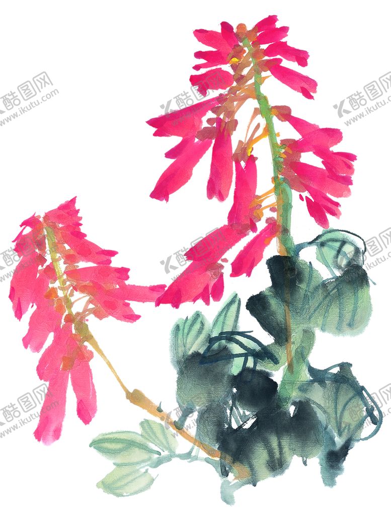 编号：30597210082341212845【酷图网】源文件下载-百花争艳  