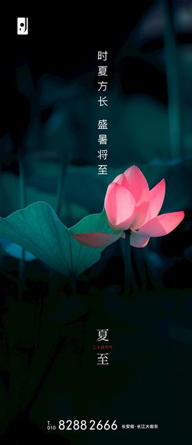 夏至