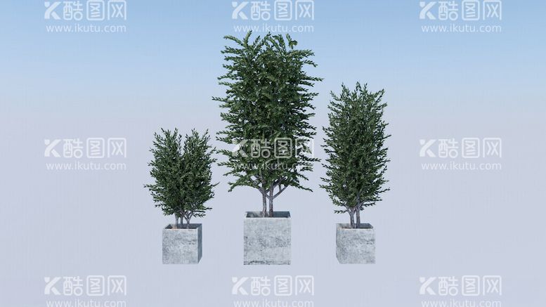 编号：65688712180416344709【酷图网】源文件下载-植物