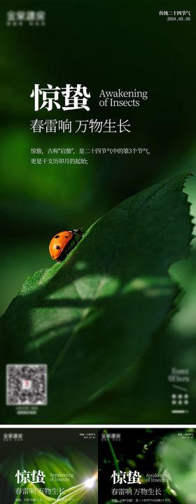 简约大气惊蛰系列海报