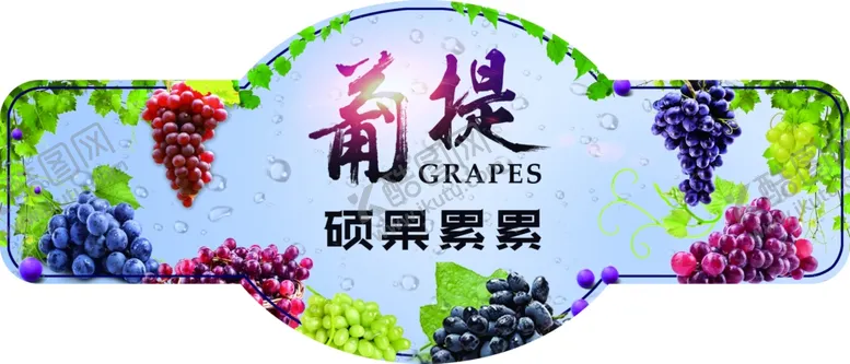 编号：10675410231548075202【酷图网】源文件下载-葡萄 提子 硕果累累