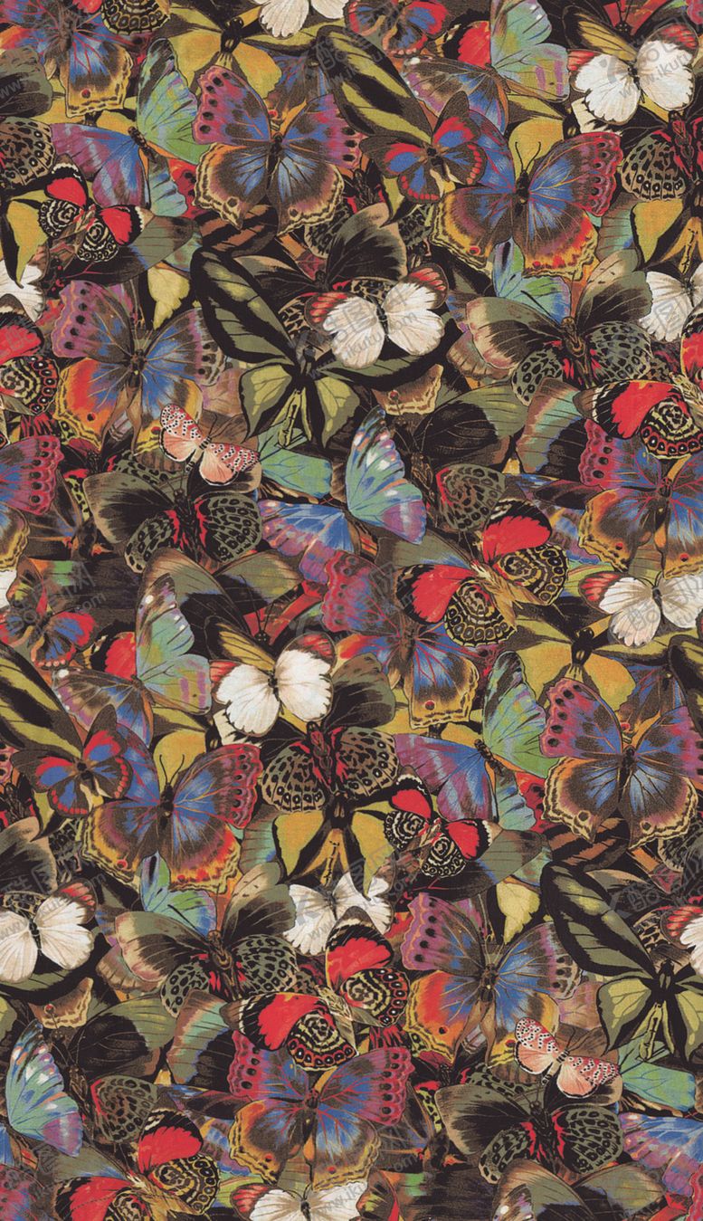 编号：14480510272029536325【酷图网】源文件下载-蝴蝶