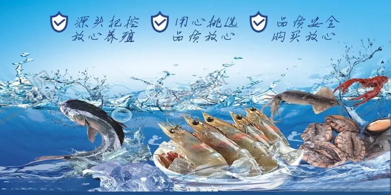编号：87989601210356425709【酷图网】源文件下载-水产