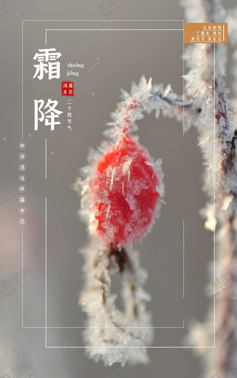 编号：68564109202350393956【酷图网】源文件下载-霜降海报