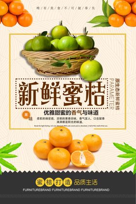 橘子海报