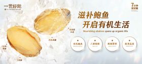 滋补鲍鱼banner