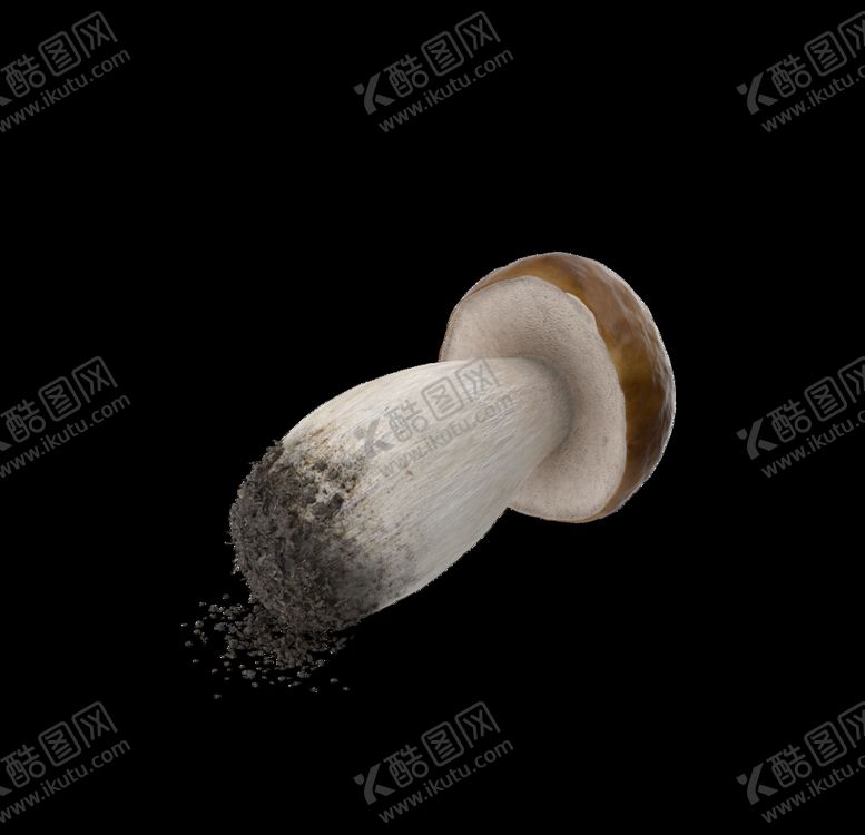 编号：74524607010723587351【酷图网】源文件下载-香菇免扣