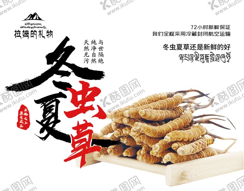 编号：72069902130552207348【酷图网】源文件下载-冬虫夏草