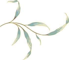 清新森系花枝