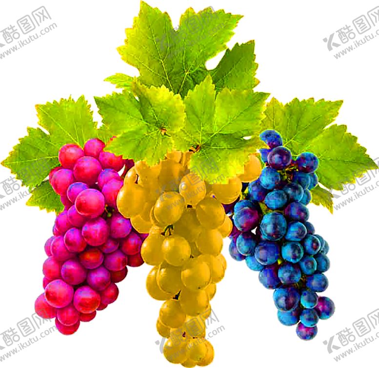 编号：83239110301229192583【酷图网】源文件下载-花素材