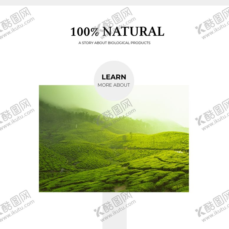 编号：50132509190939068266【酷图网】源文件下载-照片图片排版设计