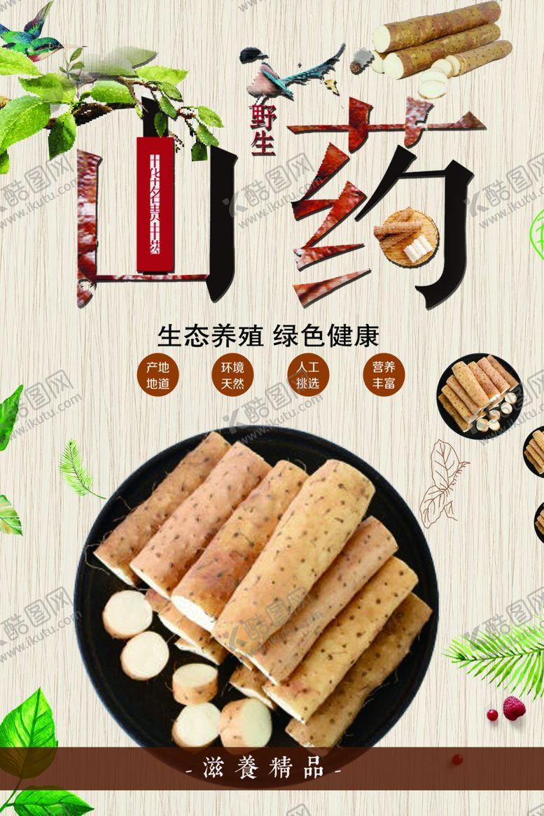 编号：23654811261752226773【酷图网】源文件下载-山药