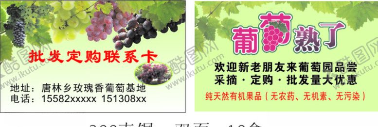 编号：54739909270651045150【酷图网】源文件下载-葡萄名片
