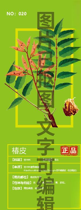 椿皮
