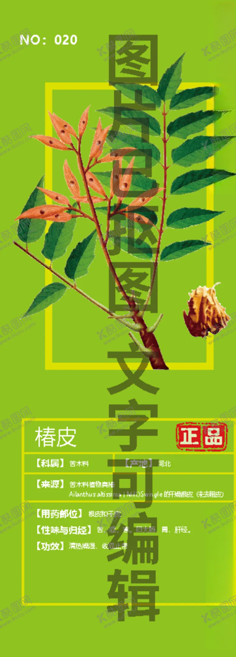 编号：16224506250049337749【酷图网】源文件下载-椿皮