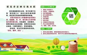 稻花香富硒有机水稻